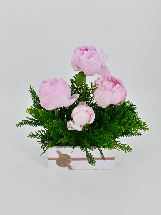 Princess Peony