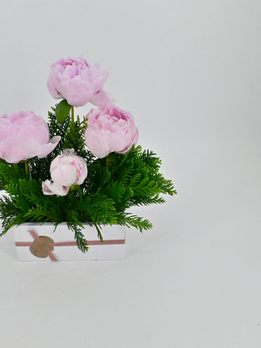 Princess Peony