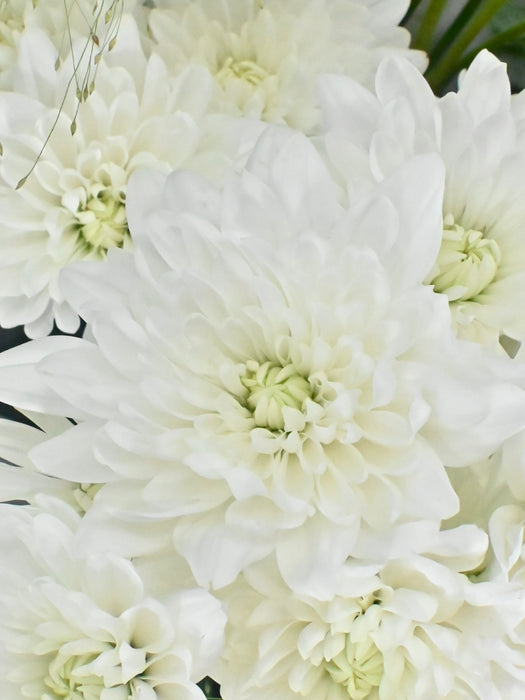 Serenity Flower Bouquet