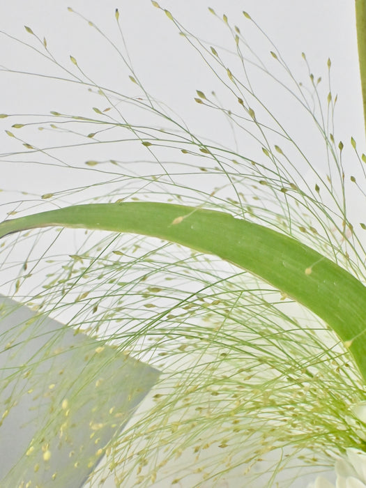 Serenity Flower Bouquet