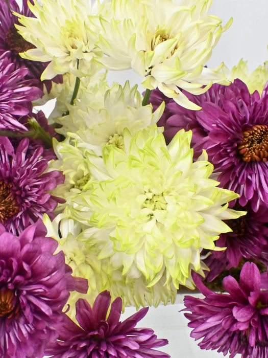 Artful Seasonal Bloom Money Gift