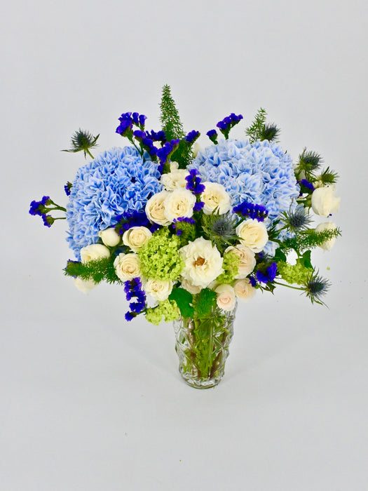 Viburnum Roseum