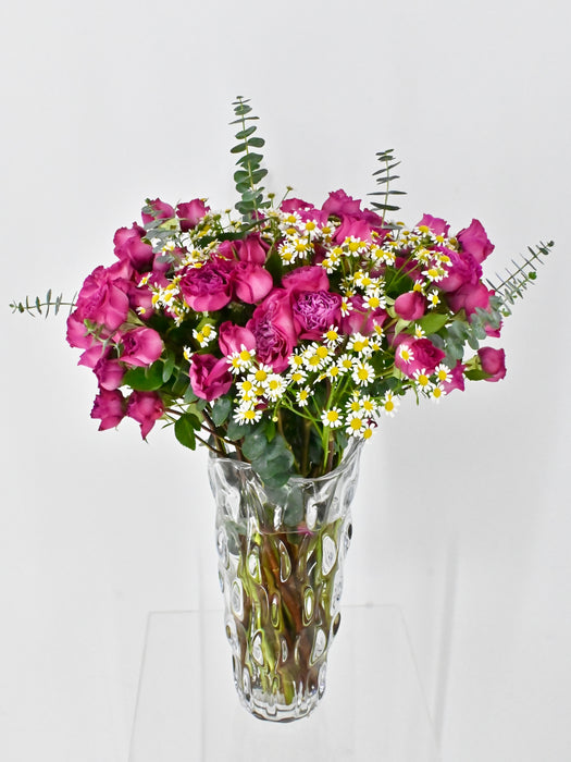 Tanaceries Garden Bloom