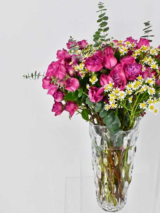 Tanaceries Garden Bloom