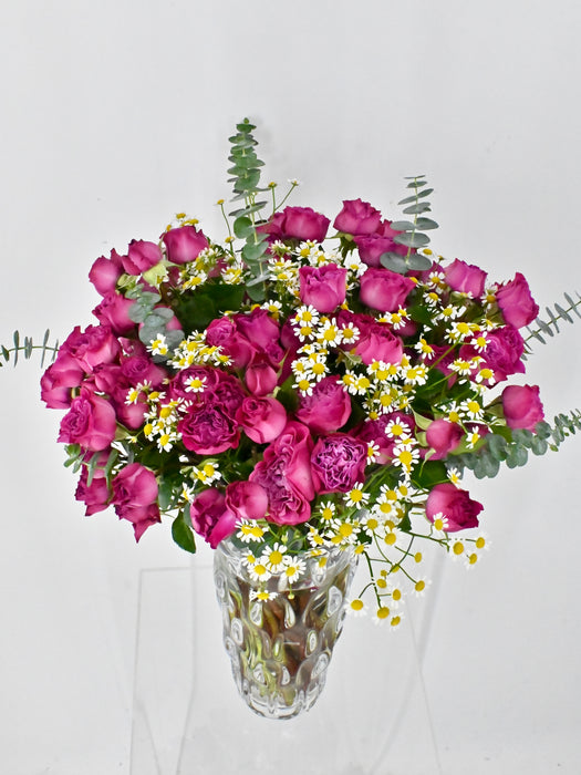 Tanaceries Garden Bloom