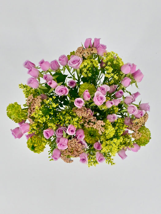 Achellia Millefolium