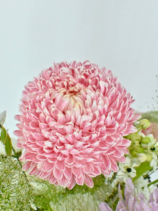 Scented Soft Pastel Garden