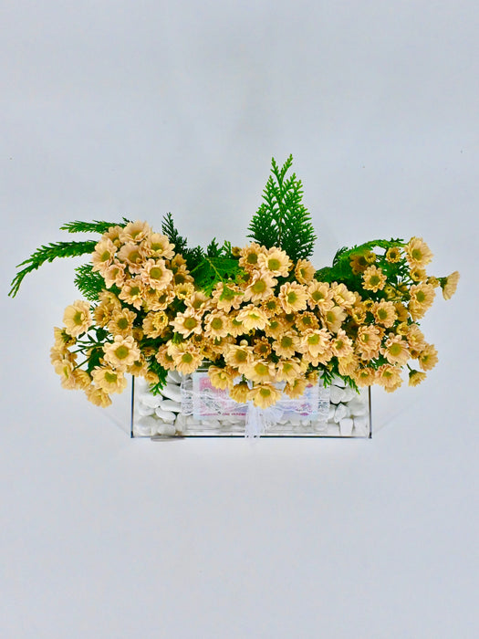 Rosi Salmon Money Arrangement