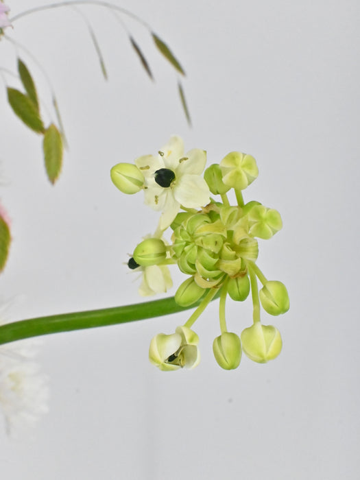 Scented Soft Pastel Garden