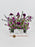 Aster Garden Money Arrangement