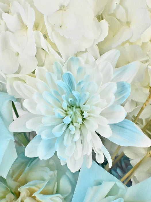 Soft and Cute Money Arrangement