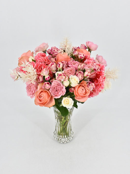 Flinders Bloom