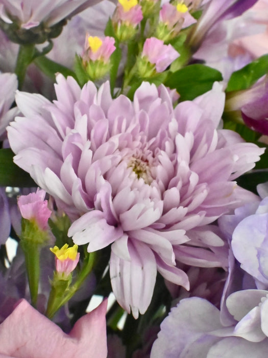 Shades of Pink and Purple Beauty