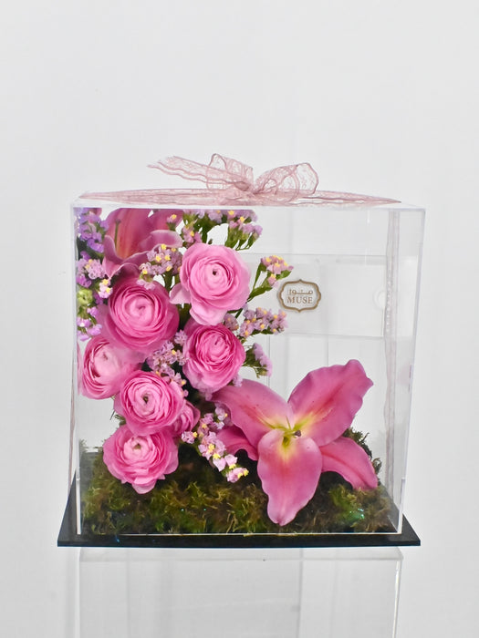 Asiaticus Elegance Money Gift