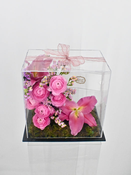 Asiaticus Elegance Money Gift