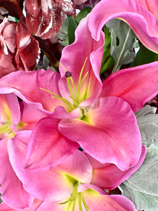 Burgundy Bubble Garden