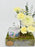 Polimnia Garden with Chocolates
