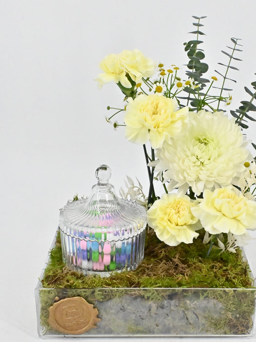 Polimnia Garden with Chocolates