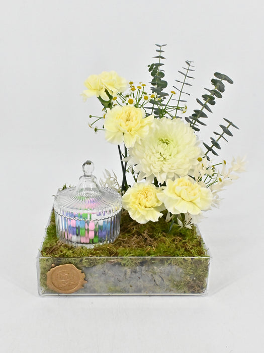 Polimnia Garden with Chocolates