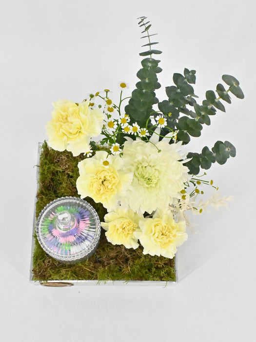 Polimnia Garden with Chocolates