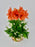 Naranja Garden
