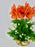 Naranja Garden