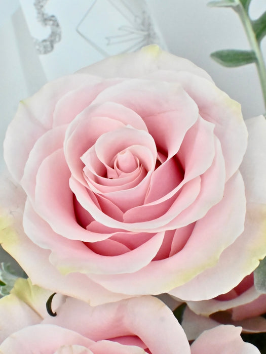 Vendella Pink Bouquet