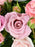 Pastel Bloom Garden