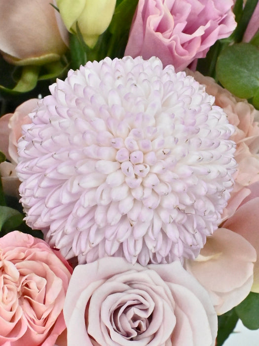 Pastel Bloom Garden