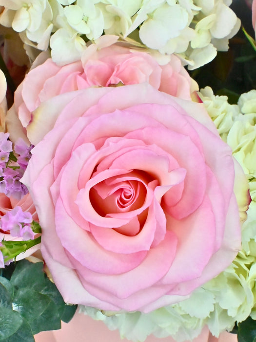 Ezperence Bloom Bouquet