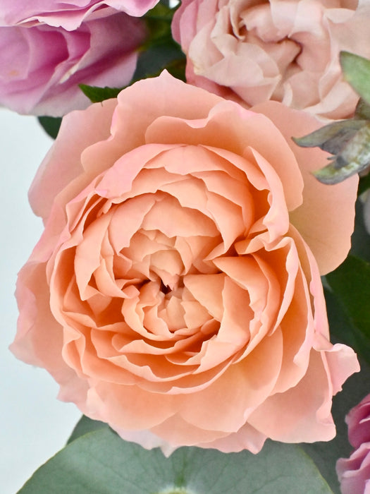 Pastel Bloom Garden