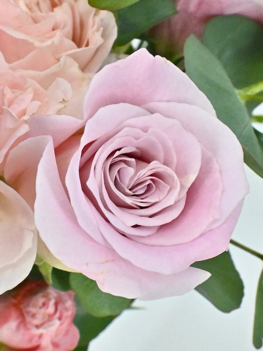 Pastel Bloom Garden