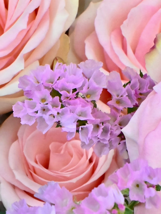 Ezperence Bloom Bouquet