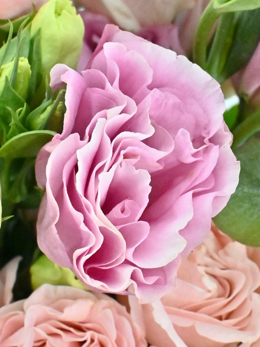 Pastel Bloom Garden
