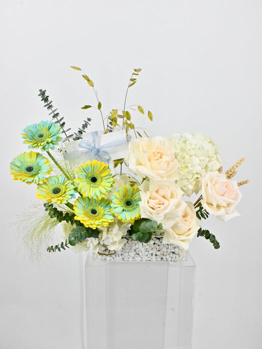 Westeros Garden Money Arrangement