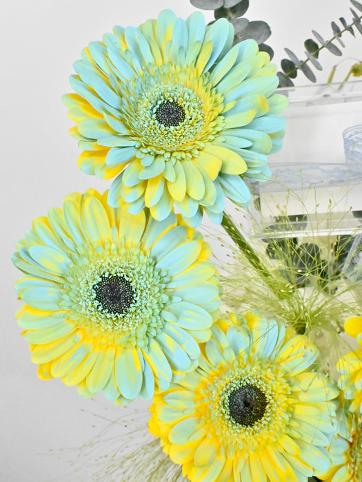 Westeros Garden Money Arrangement