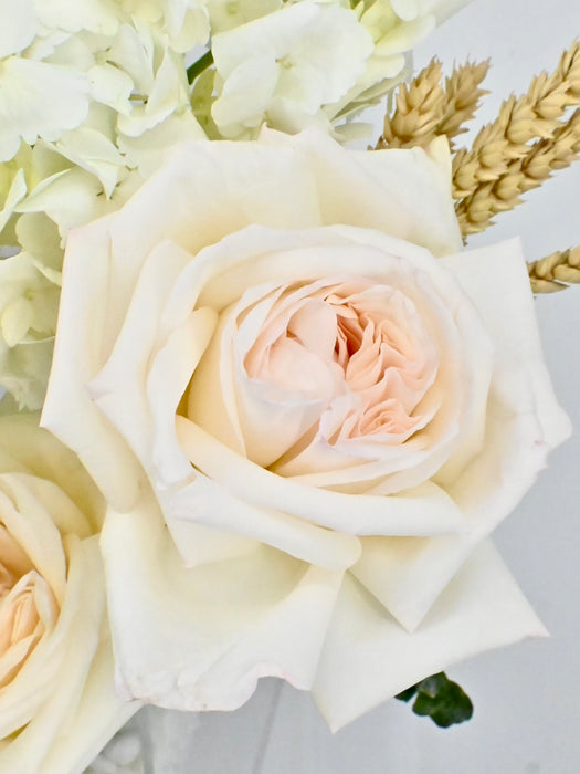 Westeros Garden Money Arrangement