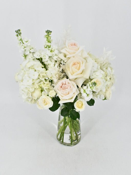 Pure Whites