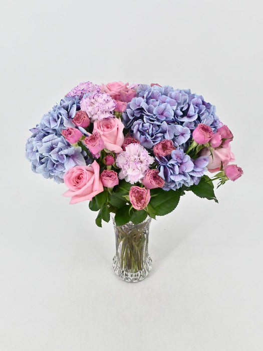 Pinks & Purples