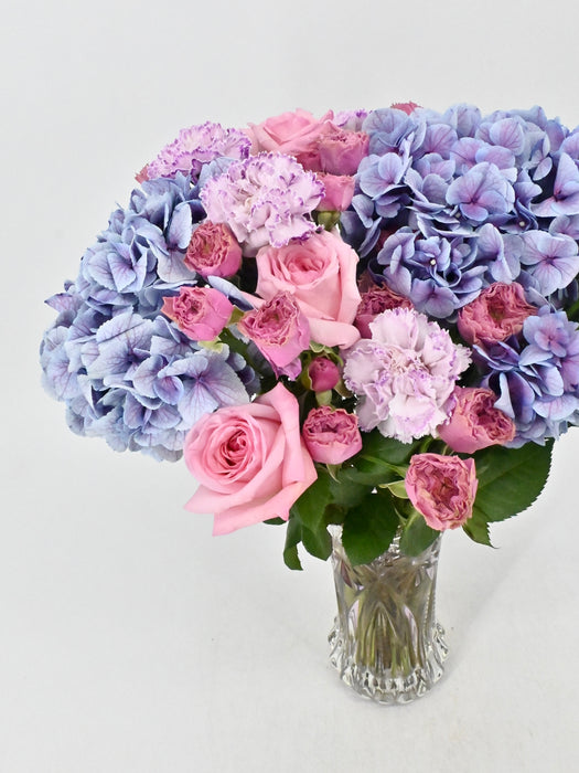 Pinks & Purples
