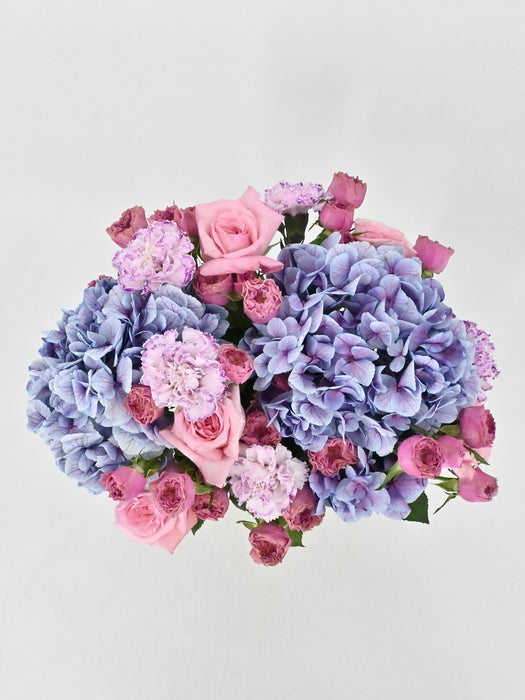 Pinks & Purples