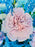 Baby Blue Money Arrangement