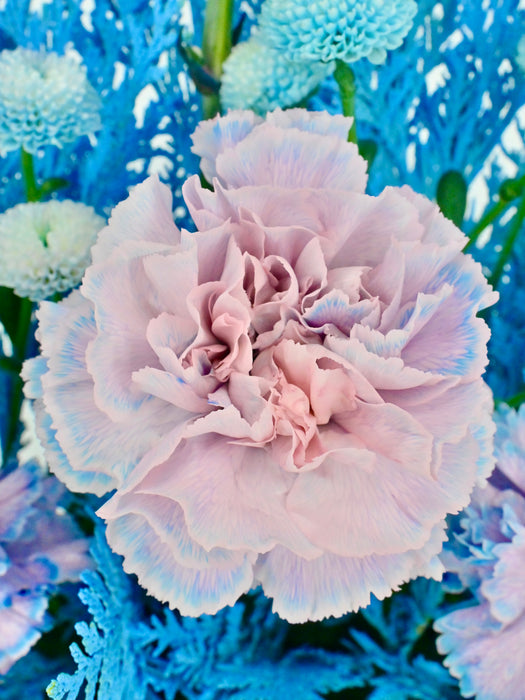 Baby Blue Money Arrangement