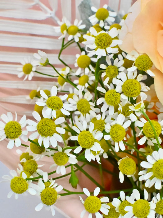 Felicity Sunchi Bouquet