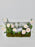 Ranunculus El Rose Money Arrangement