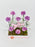 Mine Money Garden