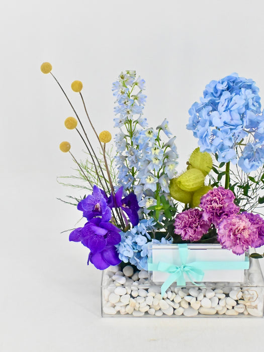 Vanda Money Garden