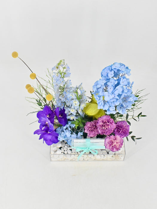 Vanda Money Garden