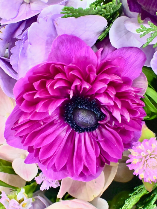 Keira Levante Money Arrangement