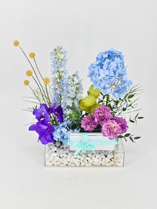 Vanda Money Garden
